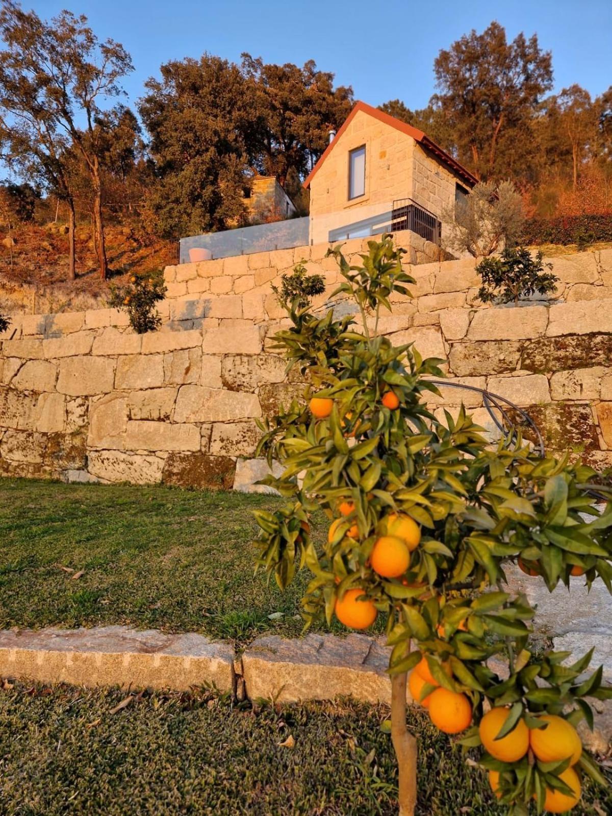 Javardo - Family House - Douro Penha Longa Esterno foto